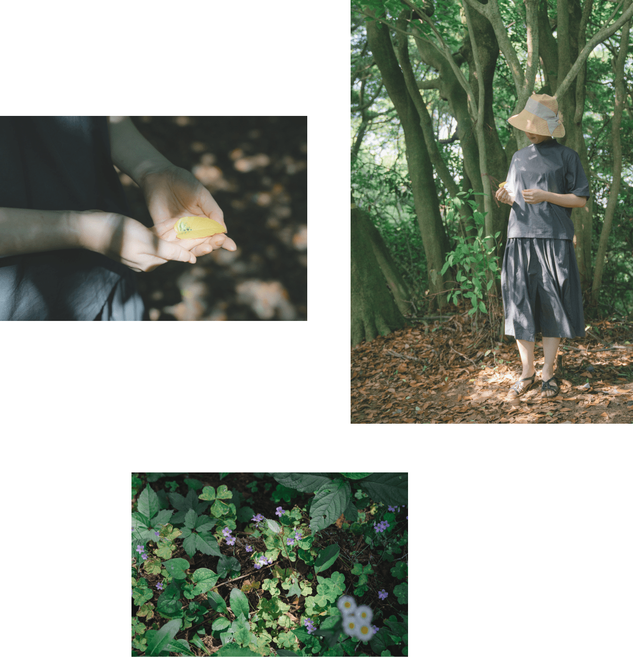 森の空想展示会2020イメージ6